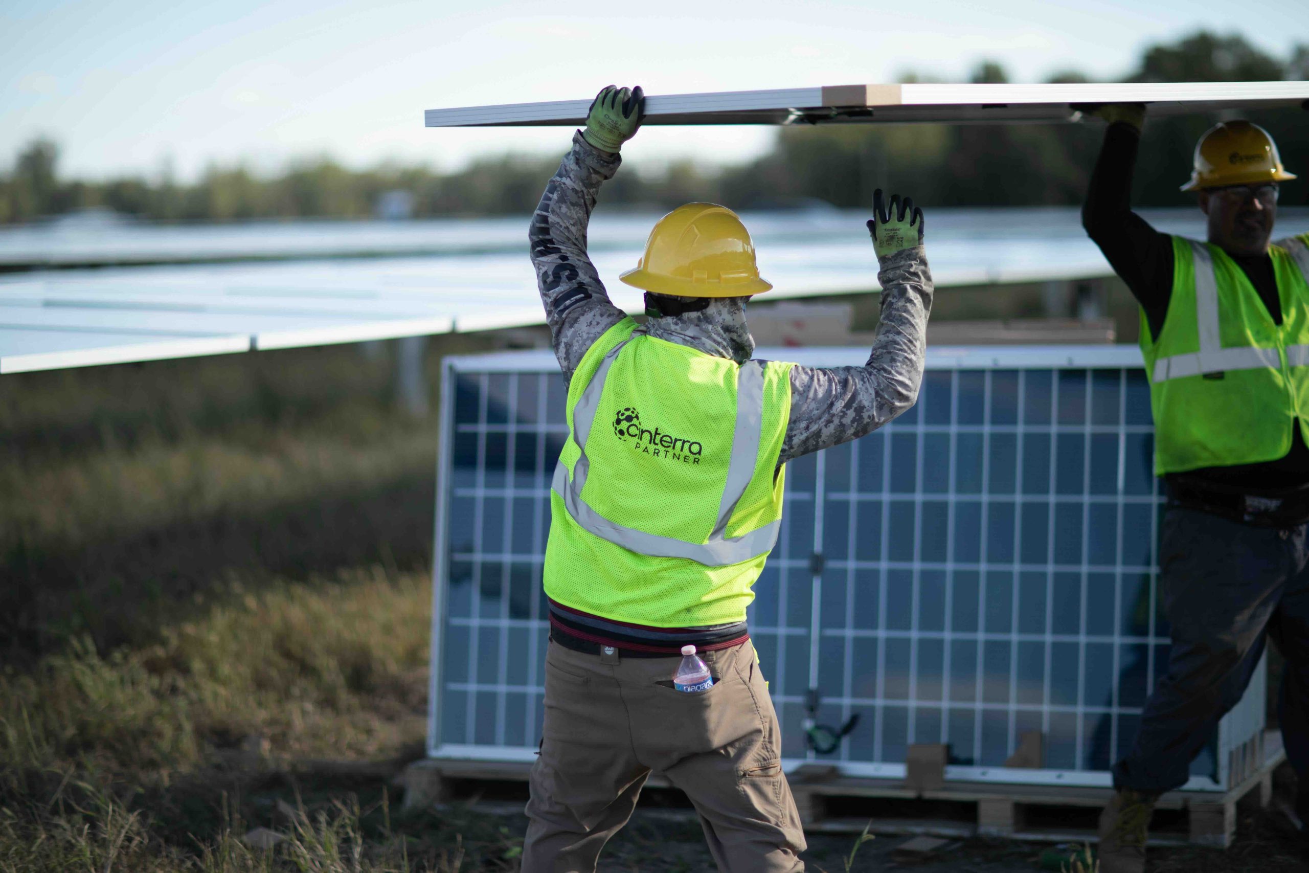 Screenshot of Cinterra website